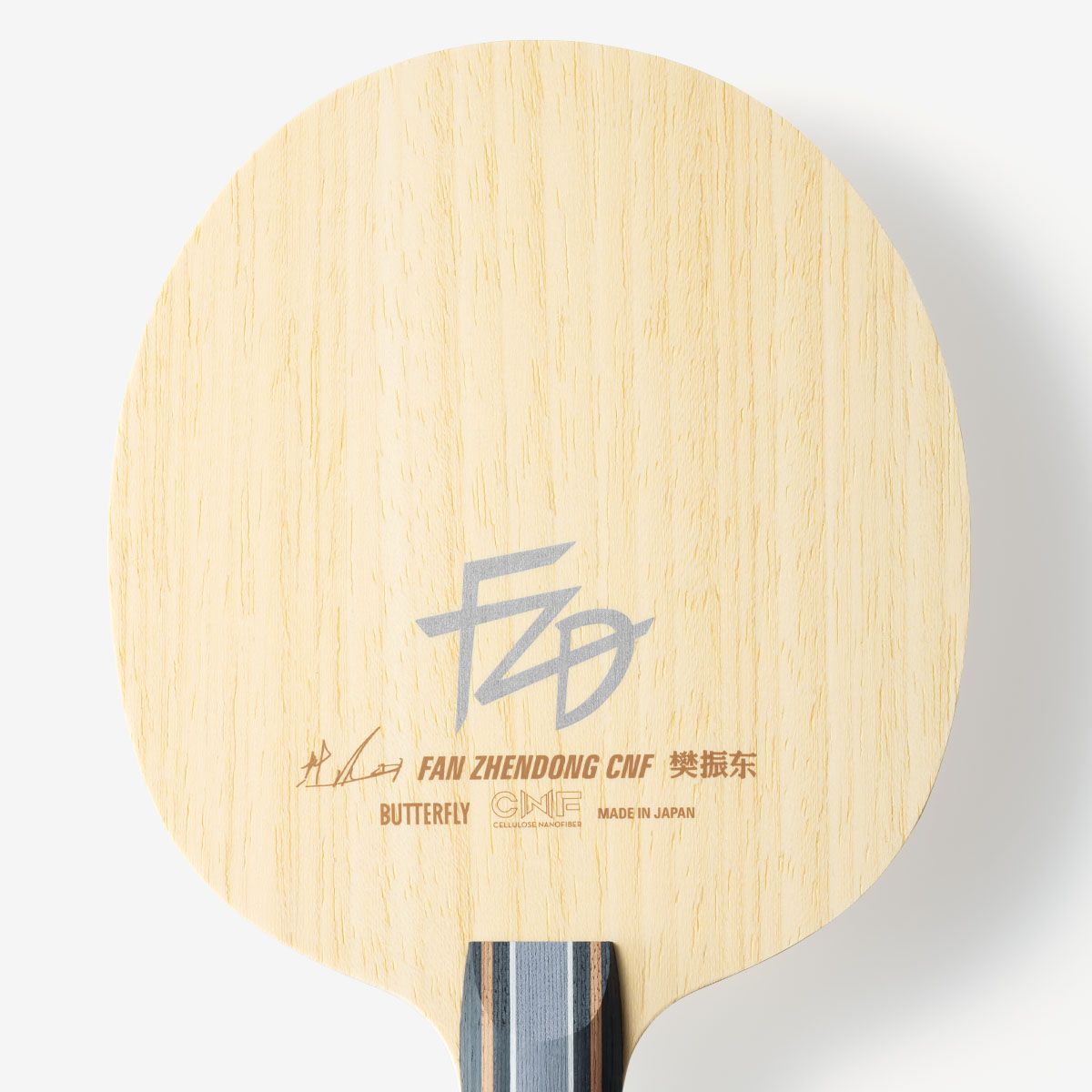 蝴蝶 樊振东 CNF